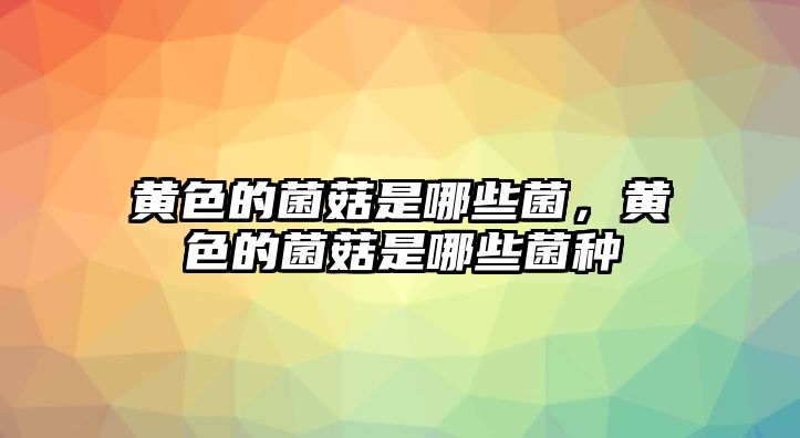 黃色的菌菇是哪些菌，黃色的菌菇是哪些菌種