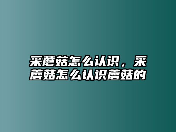 采蘑菇怎么認(rèn)識(shí)，采蘑菇怎么認(rèn)識(shí)蘑菇的