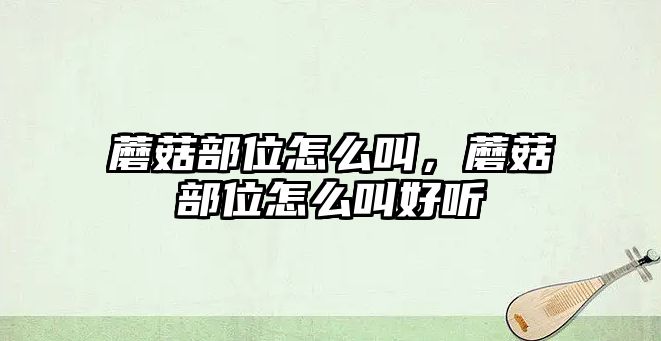 蘑菇部位怎么叫，蘑菇部位怎么叫好聽(tīng)