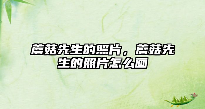 蘑菇先生的照片，蘑菇先生的照片怎么畫(huà)